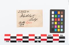 Etikett zu Bronzeschlangenfibel (NHMW-PRAE-023924)
